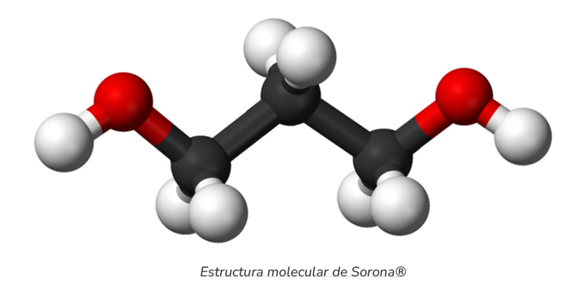 Estructura molecular de Sorona